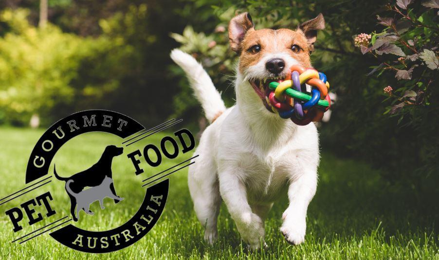 Gourmet Pet Food Australia Sunshine Coast and Brisbane