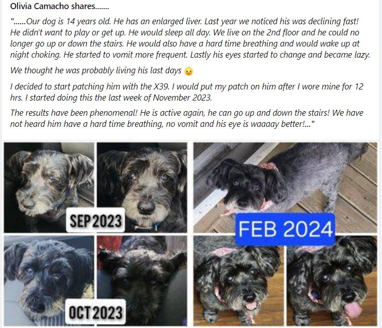Pain Relief, Wound Recovery and More with Stem Cell Stimulator X39 for Humans and Pets