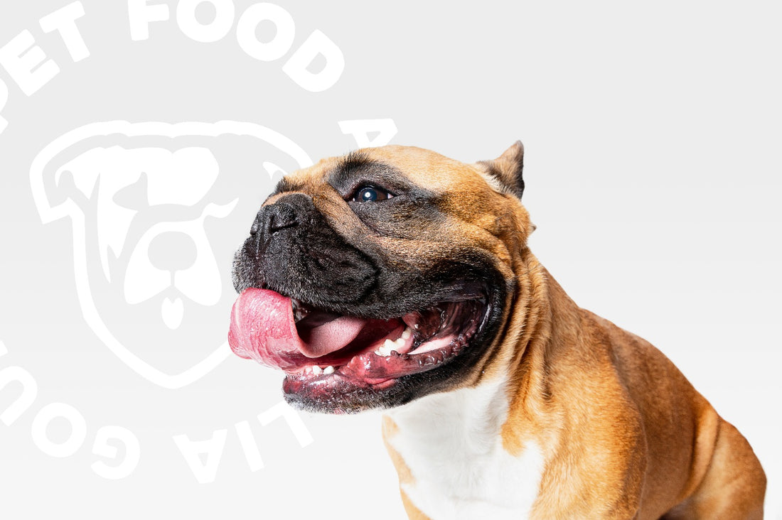 Gourmet Pet Food Australia Sunshine Coast and Brisbane