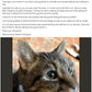 Pain Relief, Wound Recovery and More with Stem Cell Stimulator X39 for Humans and Pets
