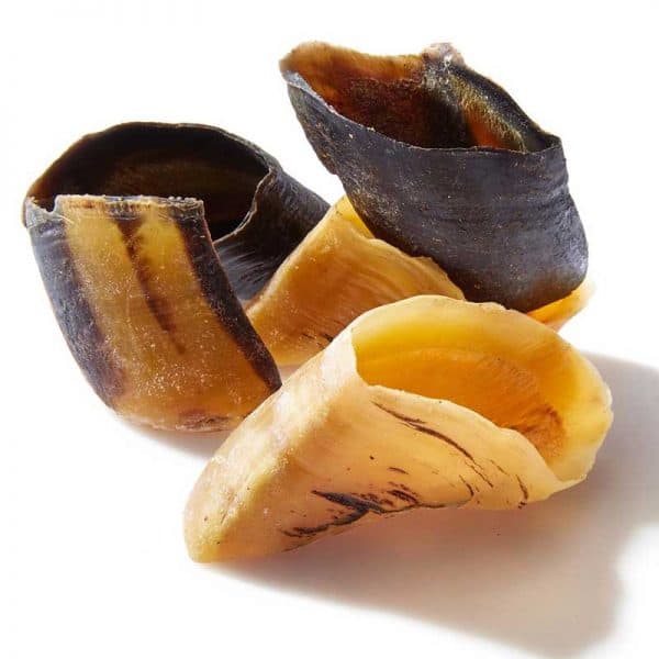 Cow Hooves (Pack of 3)